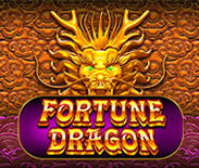 Fortune Dragon PP